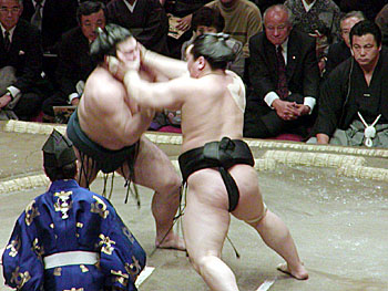 sumo.jpg